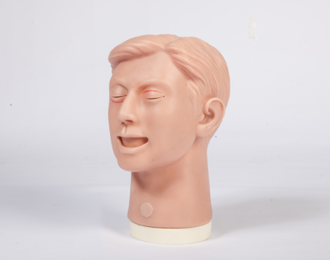 ۿƿpϾģ